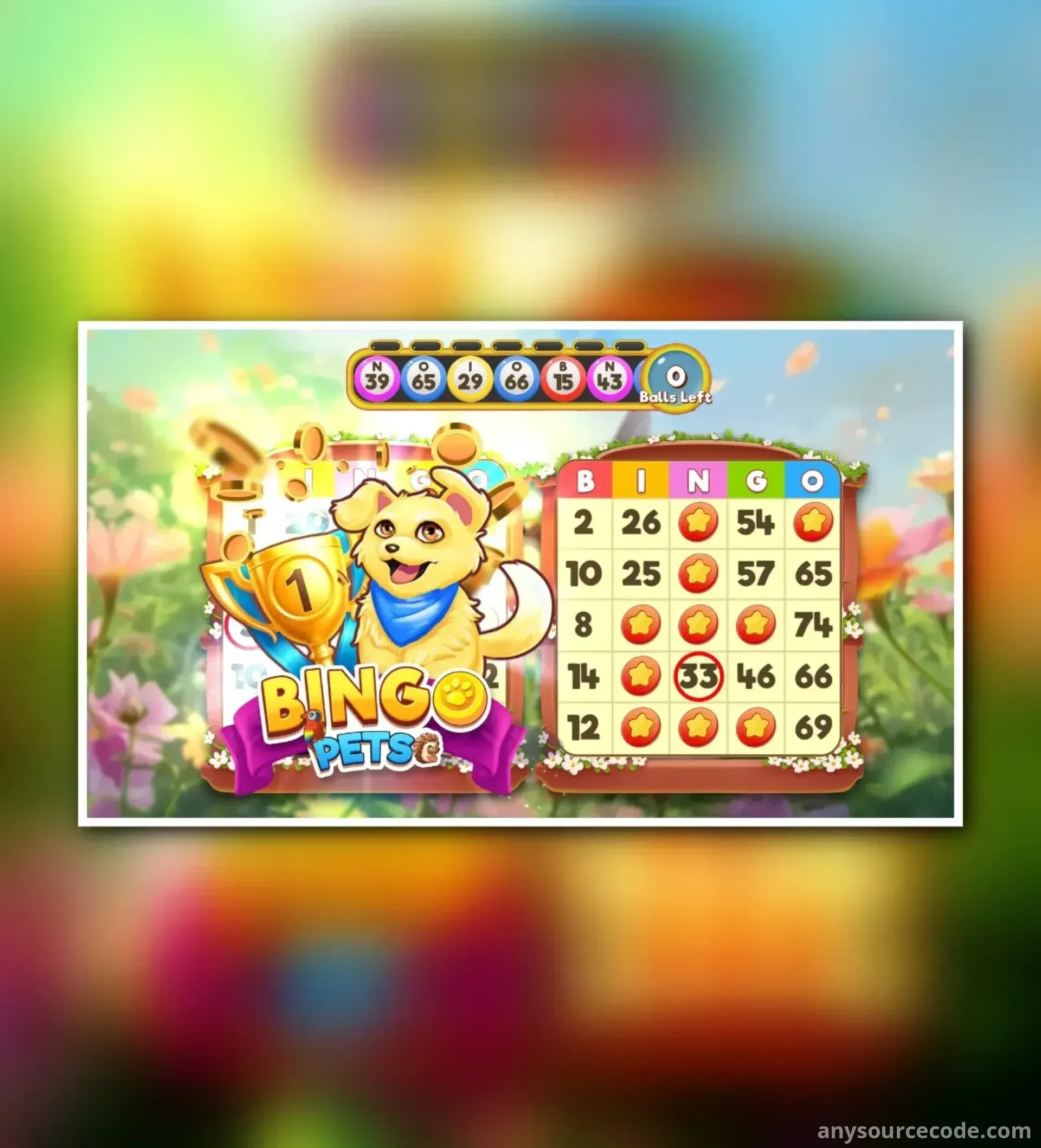 宾果：解救宠物