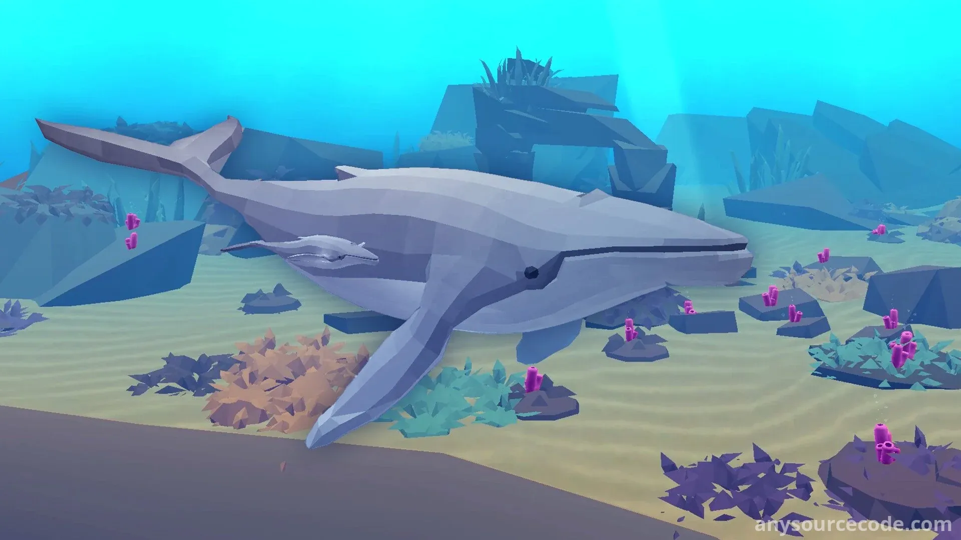 从细胞到奇点——进化永无止境