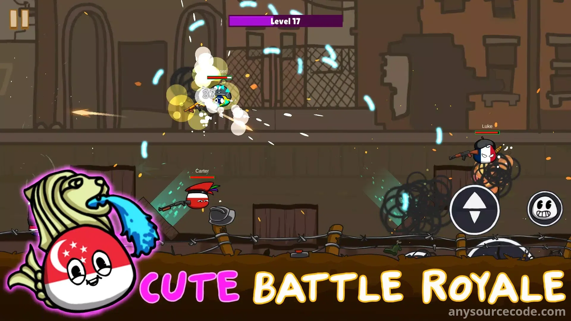 国家球：竞技场