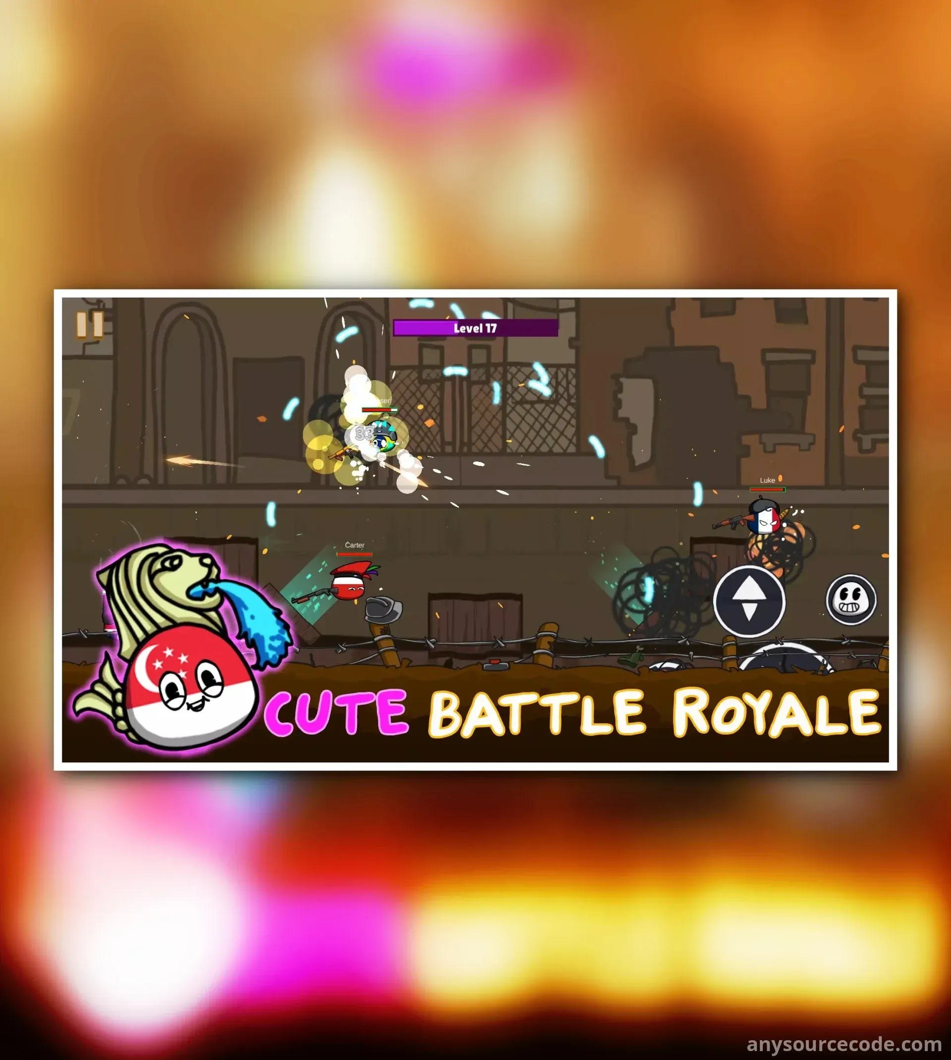 国家球：竞技场