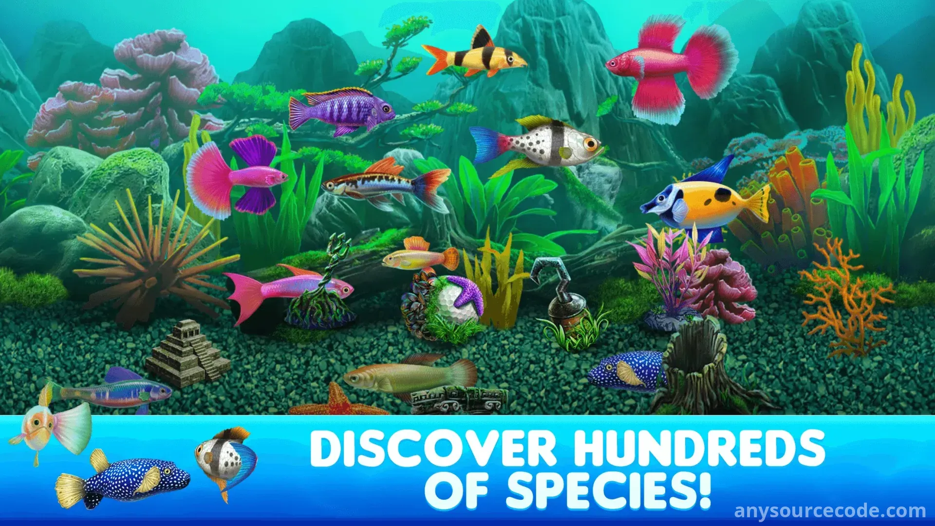 鱼大亨2 | 鱼缸模拟器2