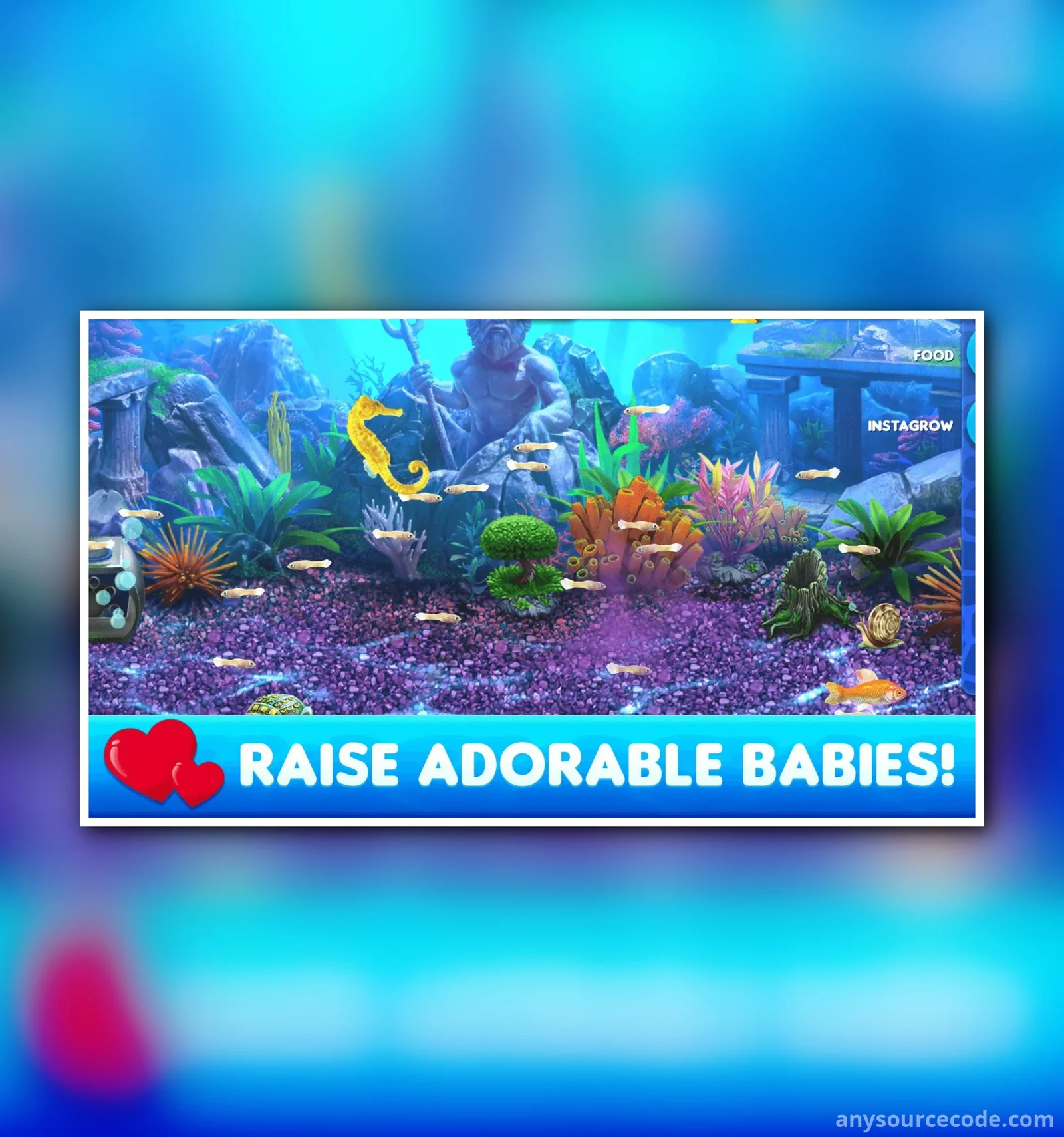 鱼大亨2 | 鱼缸模拟器2