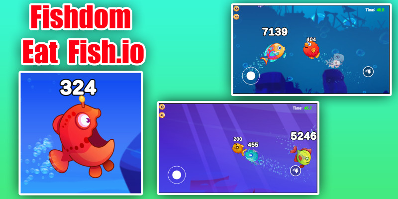 鱼趣：吃鱼大作战